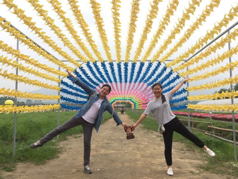 線路2花海_編輯.jpg 線路2花海_編輯.jpg